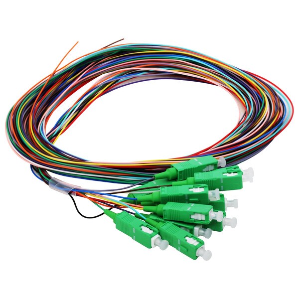 12 Fiber Pigtail, SC/APC, 900 µm, 9 µm OS2, 3m